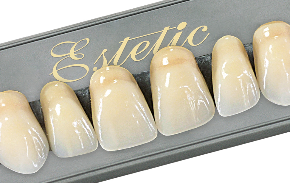 Wiedent Estetic acrylic teeth