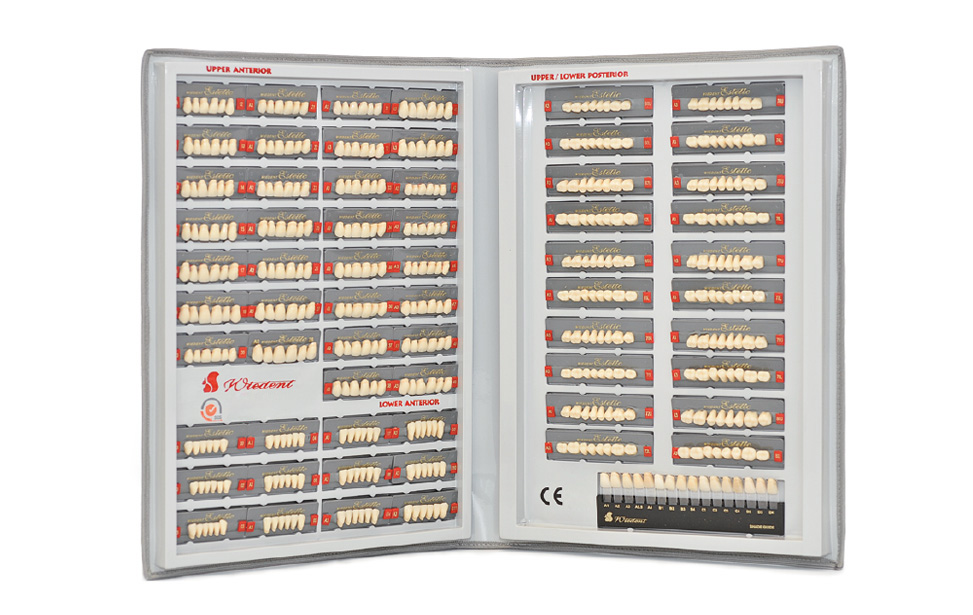 Live mould chart Estetic