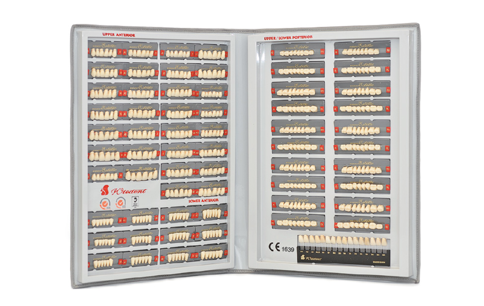 Tooth Mould Chart